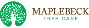 Maplebeck